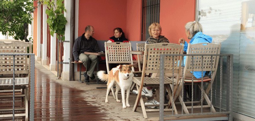 Terraza de Ljubljana