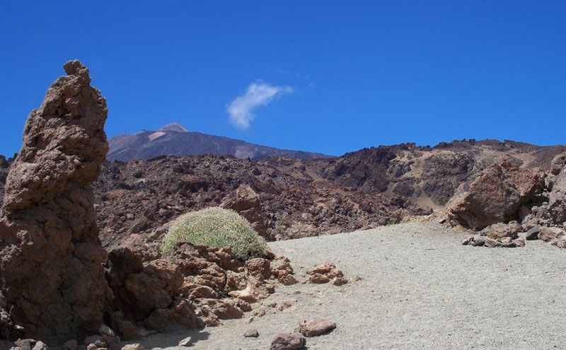En el Parque del Teide la naturaleza que predomina es volcánica | Foto: David Fernández