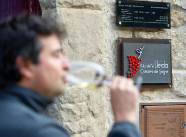 Ruta del Vino de Lleida en las Bodegas Tomás Cusiné, en Castell del Remei (Pla d'Urgell) | Foto: De Foto