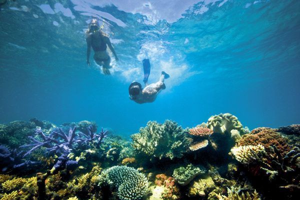 Gran barrera de coral - foto de ONT AUSTRALIA