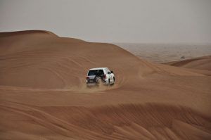 Túnez busca su salida del desierto absolutista