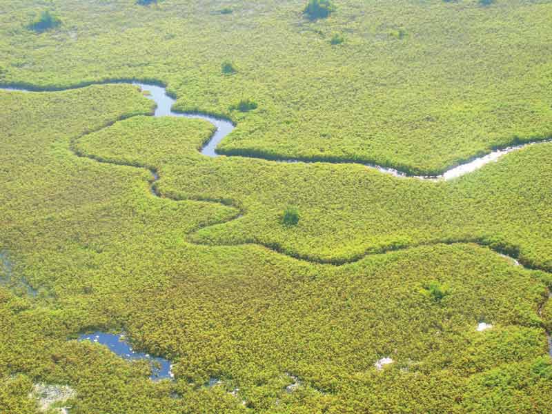 Imagen aérea del Delta del Okawango (Botswana) | Foto: Gertrude M. Matswiri, Channel