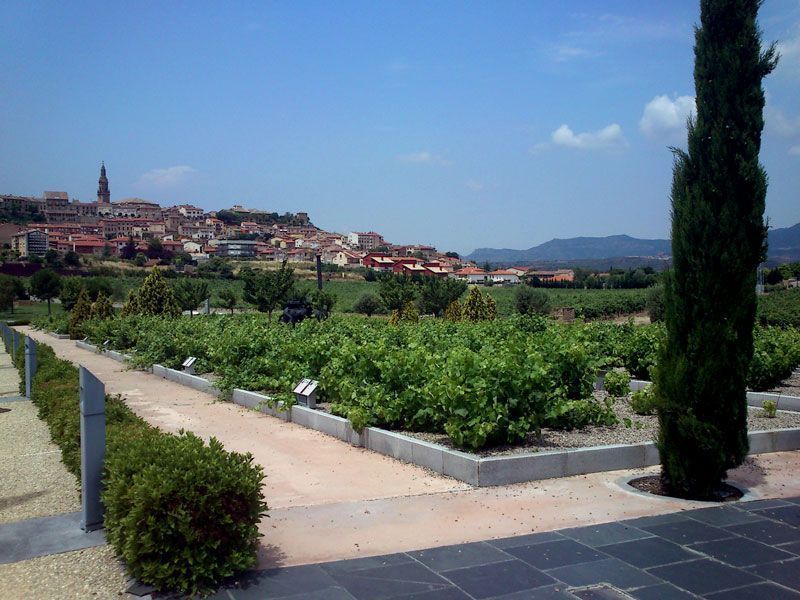 Entrada a Bodegas Vivancos, con el pueblo de Briones (La Rioja) al fondo | Foto: David Fernández