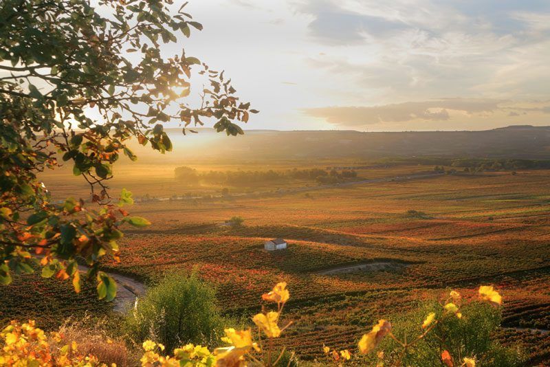 Guía de La Rioja