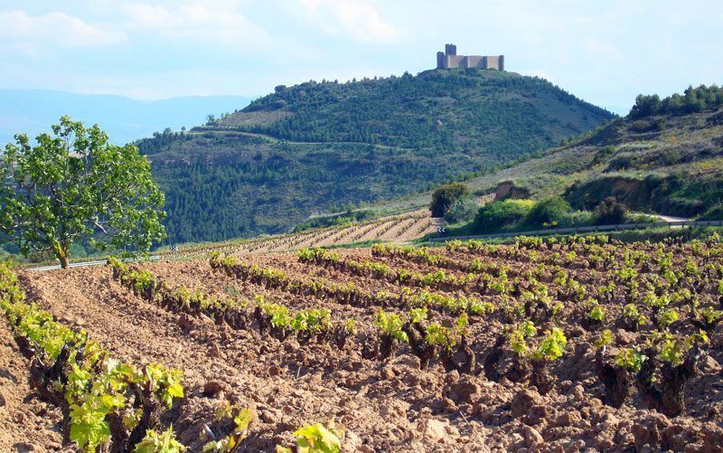 Qué hacer en La Rioja en verano