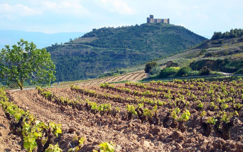 Castillo de Davalillo en La Rioja | Foto: David Fernández