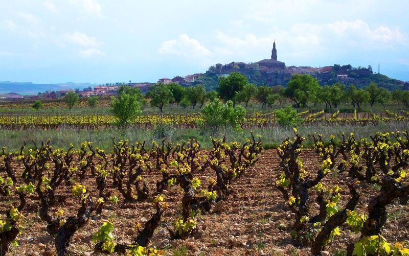 Briones desde las viñas que circundan el río Ebro | Foto: David Fernández