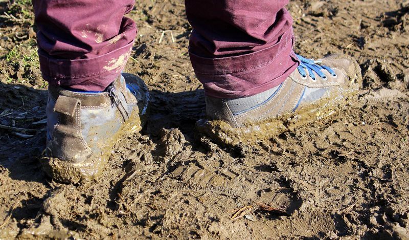 Zapatillas manchadas de barro | Foto: Myriams-Fotos para Pixabay