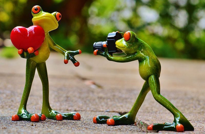 Dos ranas demostrándose su amor | Foto: Alexas_Fotos para Pixabay
