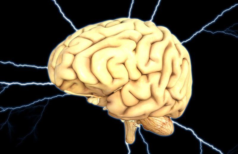 Recreación de un cerebro | Foto: HypnoArt para Pixabay