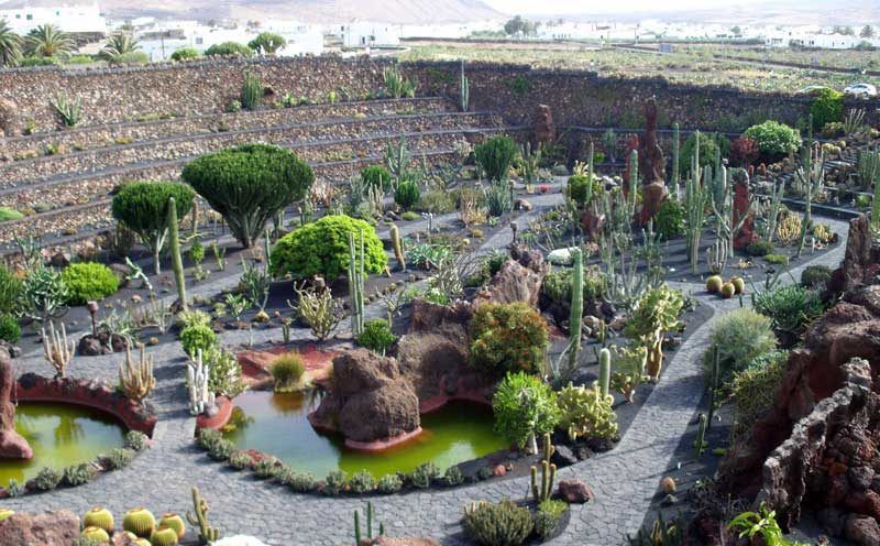 Jardín de Cactus creado por César Manrique en Lanzarote