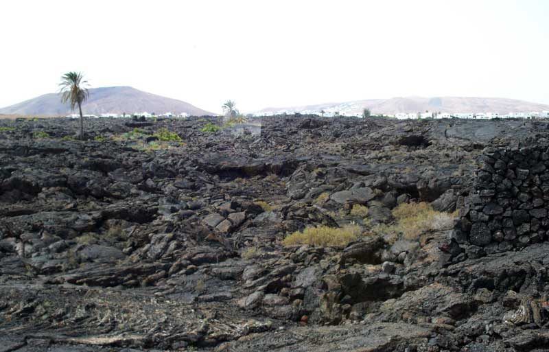 La Casa de César Manrique se encuentra en una lengua de lava